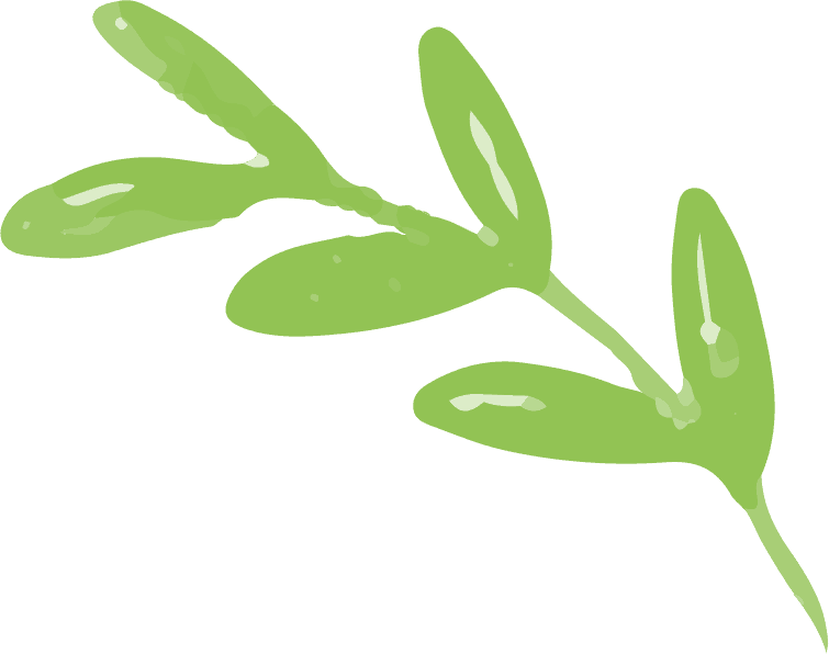 Kanishh Ayurveda | Ayurveda for Natural Healing & Wellness leaves free img