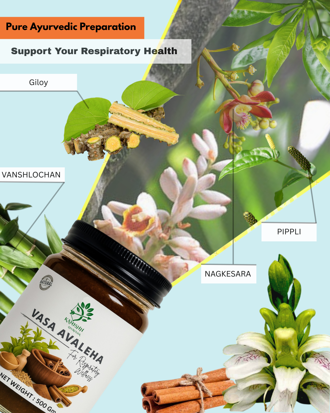 vasa avaleh dietary supplement for respiratory wellness vasa avaleh dietary supplement for respiratory wellness